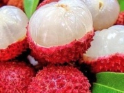 Người bệnh tiểu đường không cần kiêng ăn vải, ăn theo cách này để tăng miễn dịch và ngừa biến chứng tiểu đường