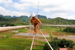 Tin tức trong ngày - Công nhân đi như xiếc trên đường dây điện 500 kV