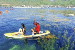 Du lịch - 'Cánh đồng vàng' rong mơ làng Nhơn Hải hút hồn du khách