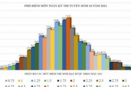Giáo dục - du học - TP HCM: Công bố phổ điểm 3 môn thi lớp 10
