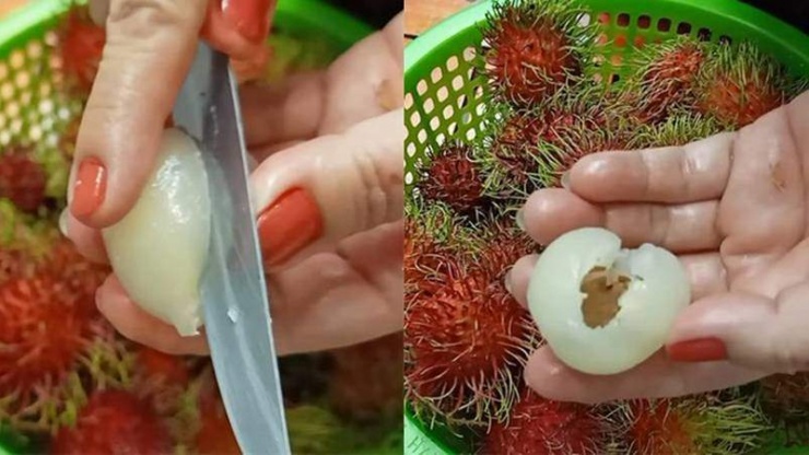 - Muốn tách hạt quả chôm chôm, người dùng tiếp tục dùng dao, rạch phần thịt chôm chôm theo chiều dọc rồi nhẹ nhàng lấy hạt ra ngoài. Nên xử lý khéo léo để phần thịt chôm chôm không bị nát.
