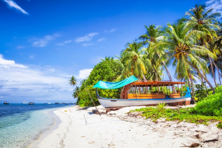 Ảnh: cinoby/Getty Images.