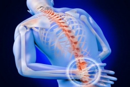Nếu cột sống của bạn "bất ổn", nhất định phải biết những điều này