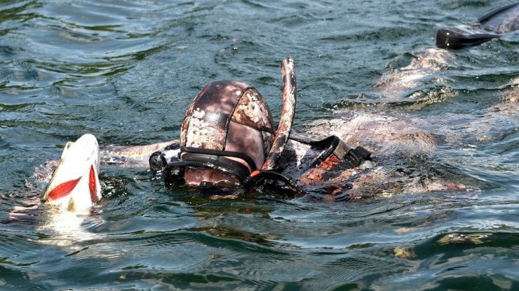 Ảnh: Điện Kremlin