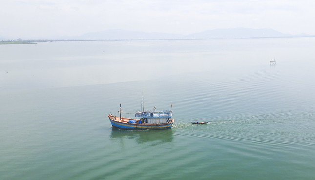 Hành động dũng cảm của người đàn ông Quy Nhơn cứu sống người nhảy cầu Thị Nại