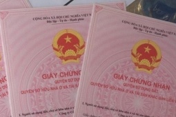 Pháp luật - Gây thiệt hại 16,6 tỷ, cựu Giám đốc Quỹ tín dụng Nhà Bè hầu tòa