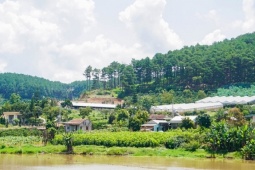 Du lịch - Chữa lành ở Nam Ban