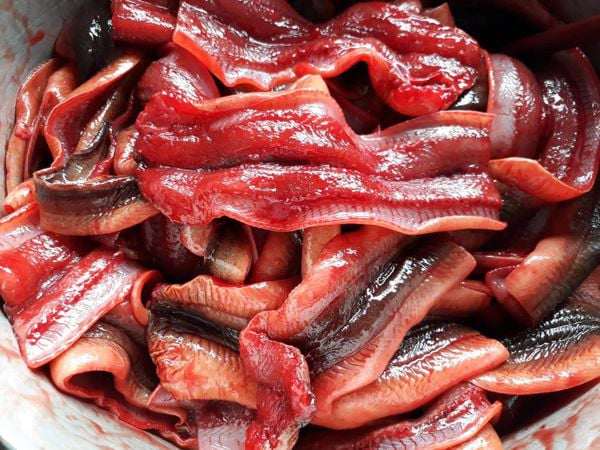 Thịt lươn mềm, nấu lên thơm ngon và giá trị dinh dưỡng rất cao