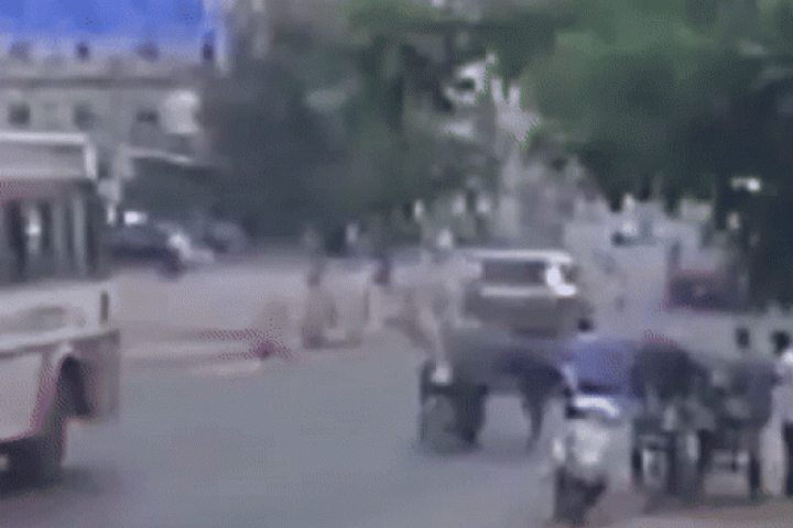 Clip: Bị bò húc văng, người đàn ông tử vong dưới bánh xe buýt