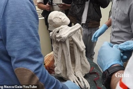 Điều lạ thường về xác ướp "người ngoài hành tinh" ở Peru