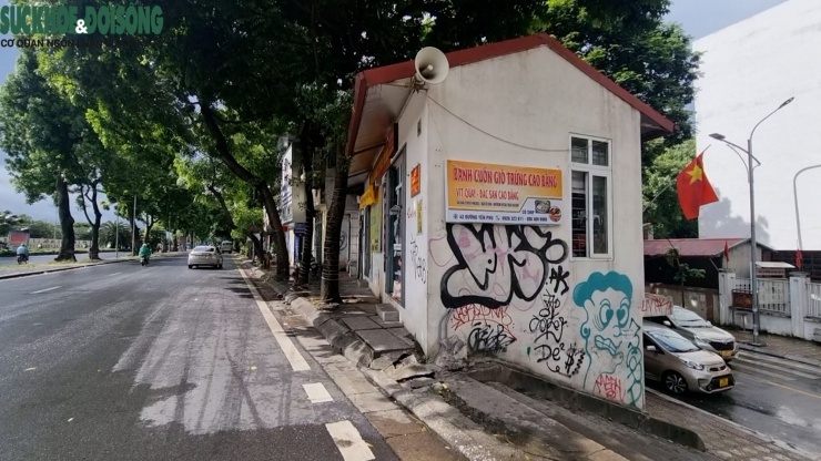 Hà Nội 'bất lực' với hình vẽ đường phố? - 3