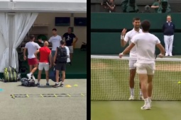 Thể thao - Djokovic chạm mặt Alcaraz ở Wimbledon: Được kỳ vọng tái đấu chung kết