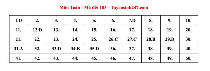 Đáp án tham khảo môn Toán thi tốt nghiệp THPT năm 2024 - 24 mã đề - 2