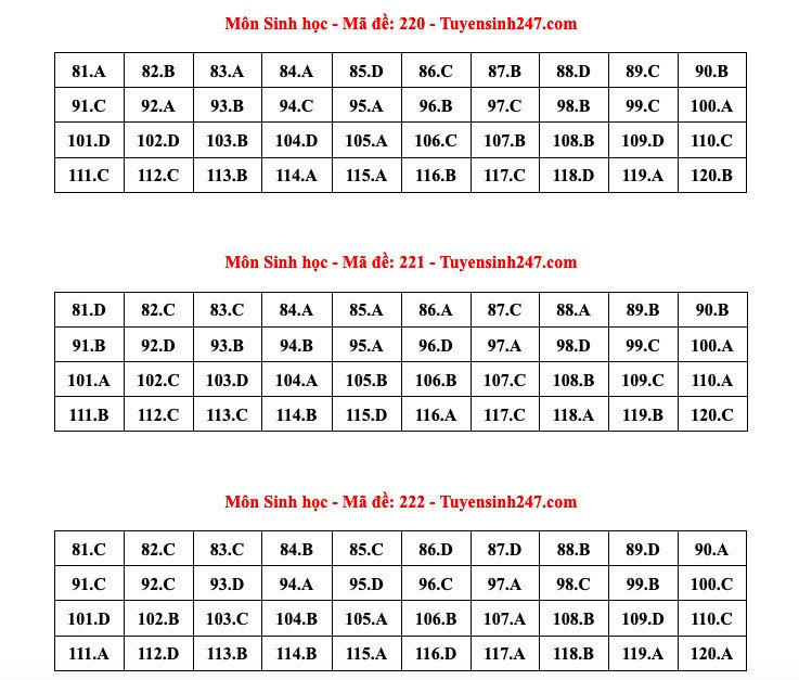 Đáp án tham khảo môn Sinh học thi tốt nghiệp THPT năm 2024 - 24 mã đề - 11