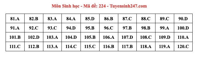 Đáp án tham khảo môn Sinh học thi tốt nghiệp THPT năm 2024 - 24 mã đề - 13