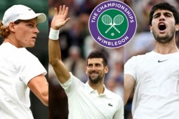 Thể thao - Kết quả thi đấu tennis đơn nam Wimbledon 2024 mới nhất