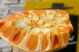 Sức khỏe đời sống - Ăn mít có gây bốc hỏa?
