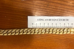 Pháp luật - Vờ hỏi mua rồi giật lắc vàng của tiệm bỏ chạy