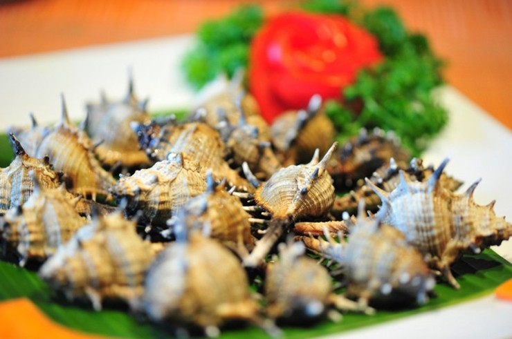 Trước đây loài ốc này có nhiều trong tự nhiên nhưng lại ít người biết tới, giá thành rẻ.&nbsp;
