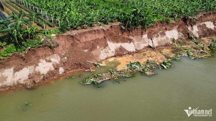 Hàng chục ha đất canh tác nông nghiệp của người dân bị mất trắng do sạt lở bờ sông Đà. Ảnh: Đức Hoàng