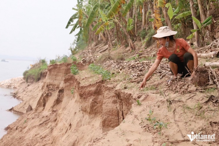 Sạt lở sông Đà ở Phú Thọ khiến người dân nơm nớp lo sợ