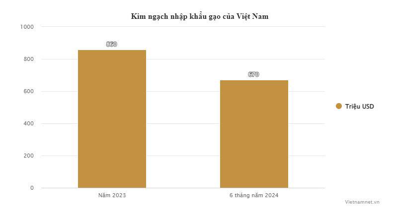 Chỉ nửa năm, Việt Nam chi gần 700 triệu USD để nhập khẩu gạo - 1