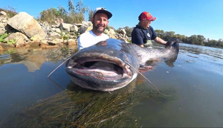 Con cá trê khổng lồ&nbsp;nặng 104kg, dài 2,7 mét.