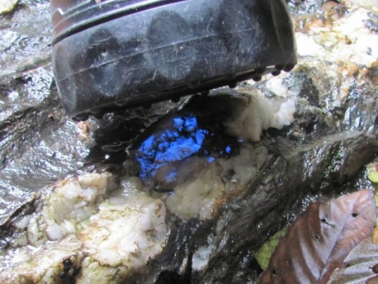 40 mỏ vàng mới được phát hiện ở Tây Bắc có dễ khai thác?