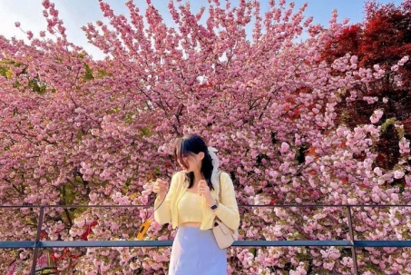 Gợi ý những điểm vãn cảnh lý tưởng khi tham quan làng cổ Hàn Quốc