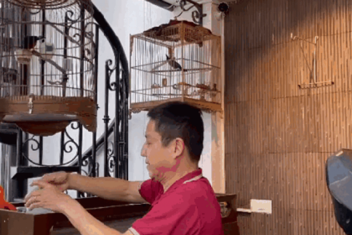 Video: Thú chơi chim, nuôi cá tưởng đại gia nhưng khi biết giá ai cũng sốc của NSƯT Chí Trung