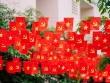 Hạnh phúc khi được sống trong hòa bình