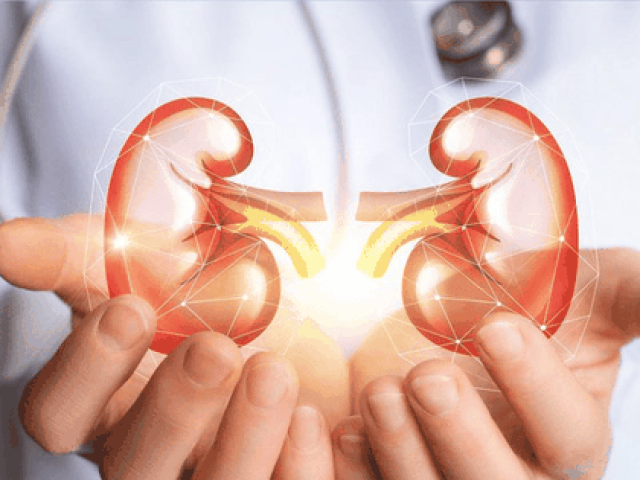 Hội chứng thận hư: Căn bệnh ‘lặng lẽ’ có thể gây tử vong