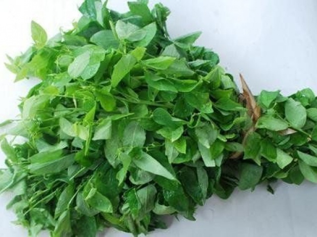 Loại rau rẻ tiền nhiều chất dinh dưỡng, giúp tăng cường hệ miễn dịch