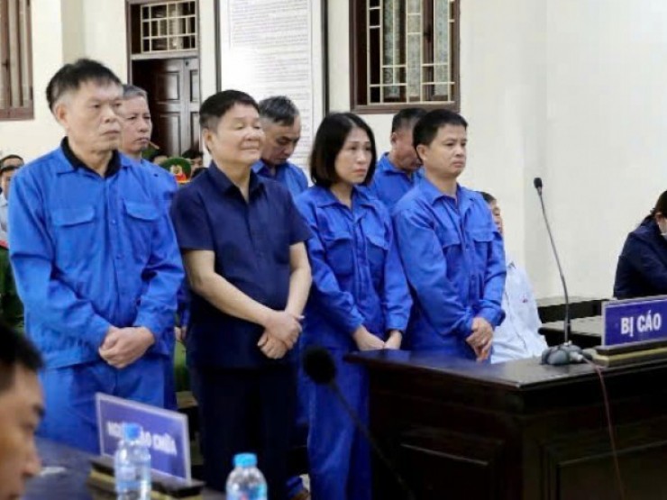 La “điên“ và nhóm cán bộ ở Thái Bình lãnh án vì chuyển mục đích sử dụng đất trái luật