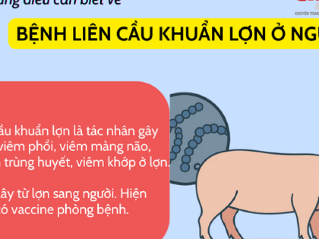 Người đàn ông mắc liên cầu khuẩn sau khi ăn lòng lợn: Những điều cần biết về căn bệnh nguy hiểm này