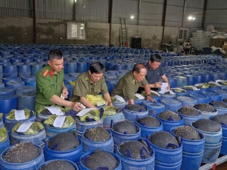 Bắt giữ 4 chủ cơ sở ngâm giá đỗ bằng hóa chất “nước kẹo“, đã bán 3.500 tấn