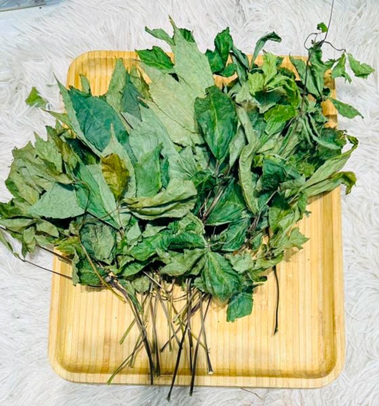 Trong lá sâm Ngọc Linh cũng tìm thấy 16 loại saponin nên đây được coi là một loại dược liệu có giá trị chữa bệnh rất cao.&nbsp;Có 2 cách để sử dụng lá sâm Ngọc Linh phổ biến nhất, đó là ngâm rượu và hãm nước uống.
