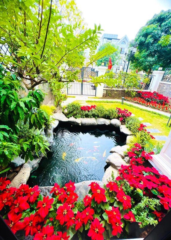 Hoa trạng nguyên cho khu vườn thêm nổi bật. Ảnh: FBNV