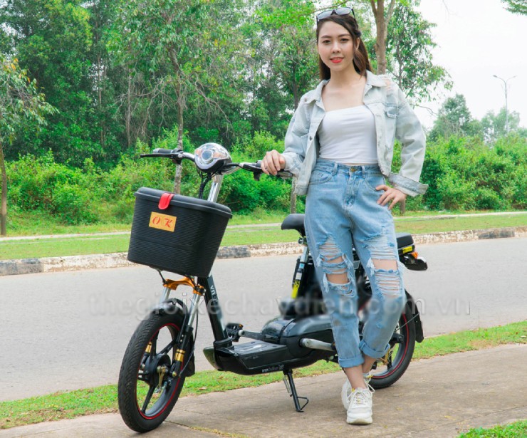 Giá xe đạp điện Vnbike mới nhất cuối tháng 4/2025 - 1