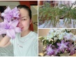 Ngôi nhà ngập hoa tươi của Ngọc Lan sau tuyên bố giải nghệ
