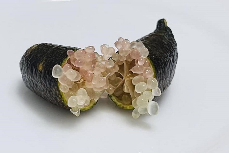 Bên trong có những hạt li ti, tròn, căng mọng như những viên trứng cá hồi, ăn giòn tan. (Ảnh: Trinh Trinh).
