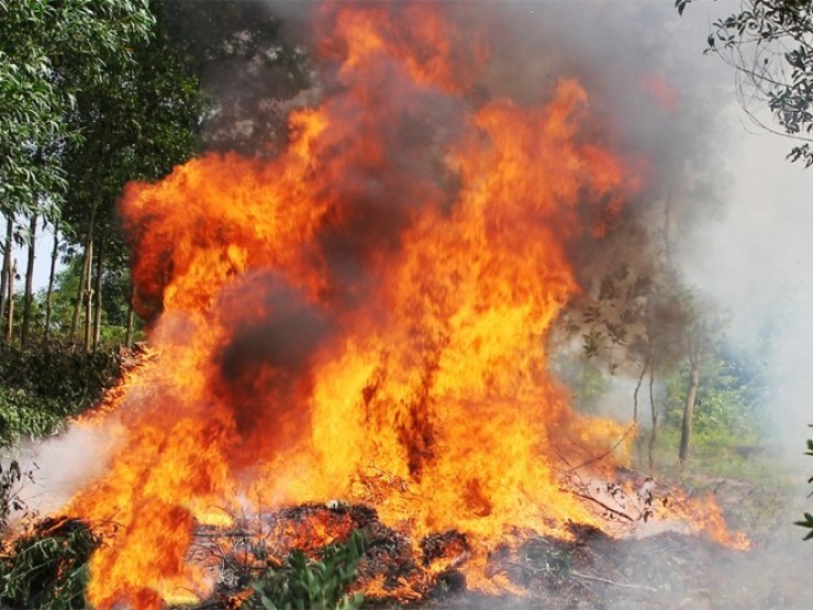 “Dị nhân gọi mưa“ Nguyễn Minh Hoàng lại muốn chữa cháy rừng cho các địa phương