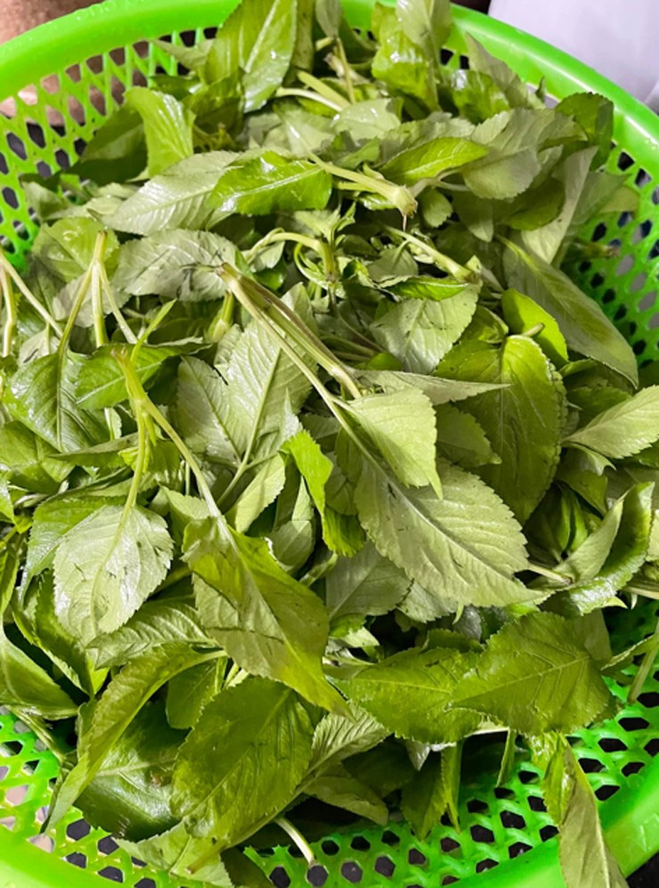 Rau xuyến chi hơi nồng và nhẩn đắng, những người ăn lần đầu sẽ thấy không quen nhưng càng ăn lại càng ngọt hậu.

