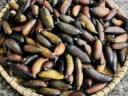 Thị trường - Tiêu dùng - Xuất hiện loại quả bé như ngón tay mà giá lên tới 3 triệu đồng/kg