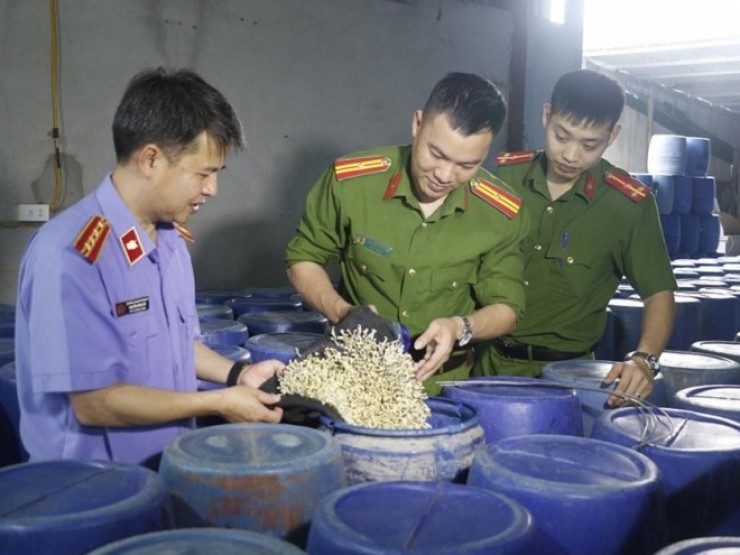 Vụ 3.500 tấn giá đỗ “ngậm“ chất cấm: Ai chịu trách nhiệm?