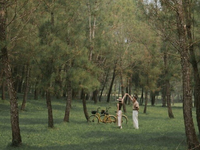 Lạc bước giữa rừng thông cổ ở lăng Gia Long