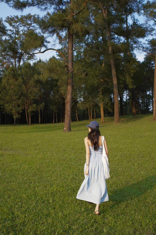 Du khách có thể thong dong dạo bước giữa rừng, nghe tiếng thông reo, hít hà hương thơm nhẹ nhàng của lá cây và đất rừng – một trải nghiệm trị liệu cho tâm hồn giữa nhịp sống hiện đại xô bồ. Ảnh uy.uyne