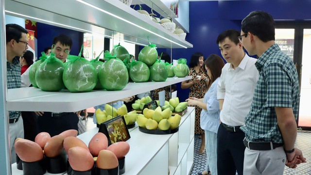 Ông Trần Hữu Linh cho biết, việc trưng bày không những nâng cao nhận thức cộng đồng về giá trị trái cây nội địa, mà còn mở rộng phạm vi tiếp cận của người tiêu dùng, tôn vinh giá trị văn hóa, kinh tế, góp phần thúc đẩy tiêu dùng nội địa, phát triển thị trường trong nước cũng như lan tỏa niềm tự hào đối với nông sản Việt Nam.
