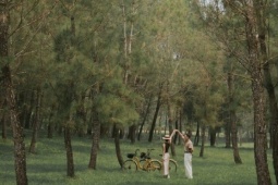 Lạc bước giữa rừng thông cổ ở lăng Gia Long