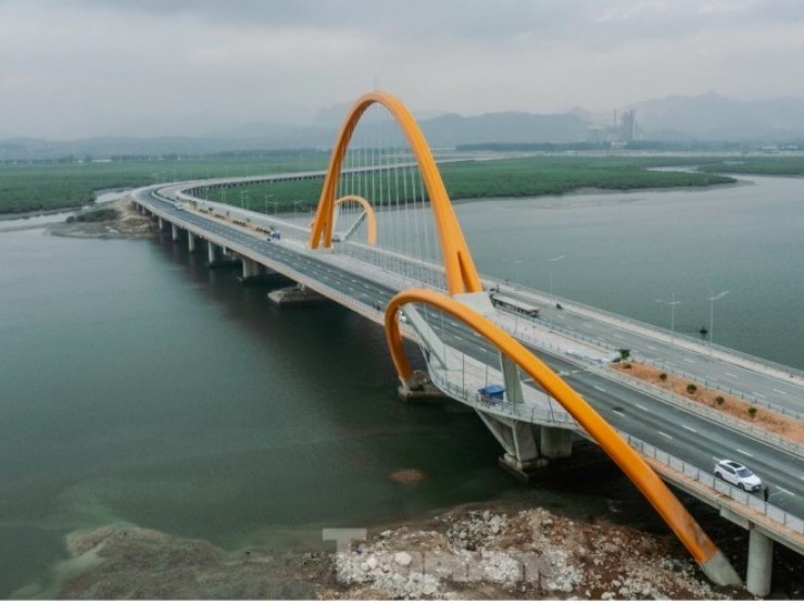 Độc đáo cây cầu uốn lượn giữa rừng ngập mặn ở Hạ Long